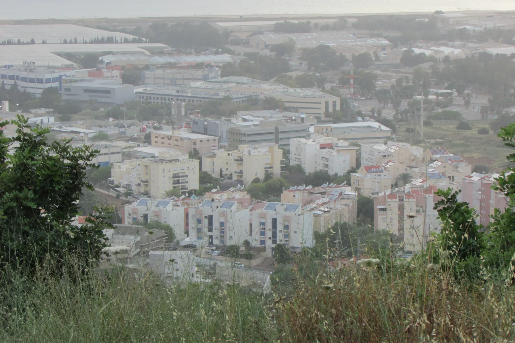 Apartment buildings in Tirat Carmel seen from the slope above, with the industrial area and the sea in the haze behind.