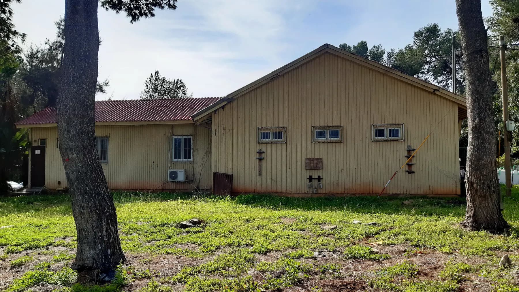 The community hall of Yanuv, a yellow building with a tiled roof, seen across a grassy yard between the trunks of two pine trees.