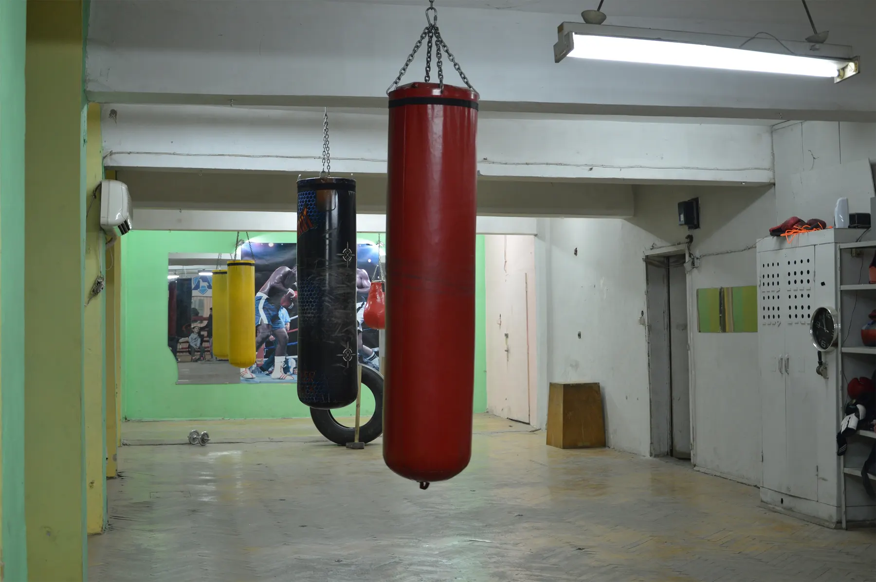 Punching bags hanging in a boxing gym.