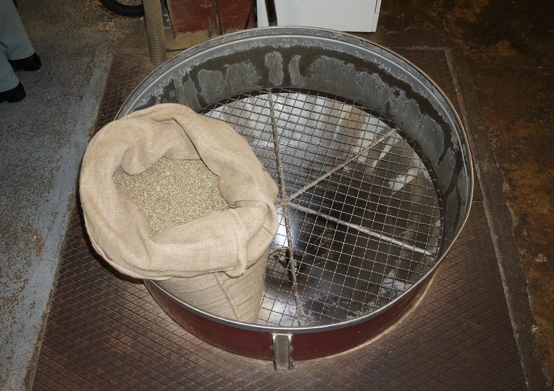A roaster at work beside a drum coffee roaster, with beans cooling in the tray.
