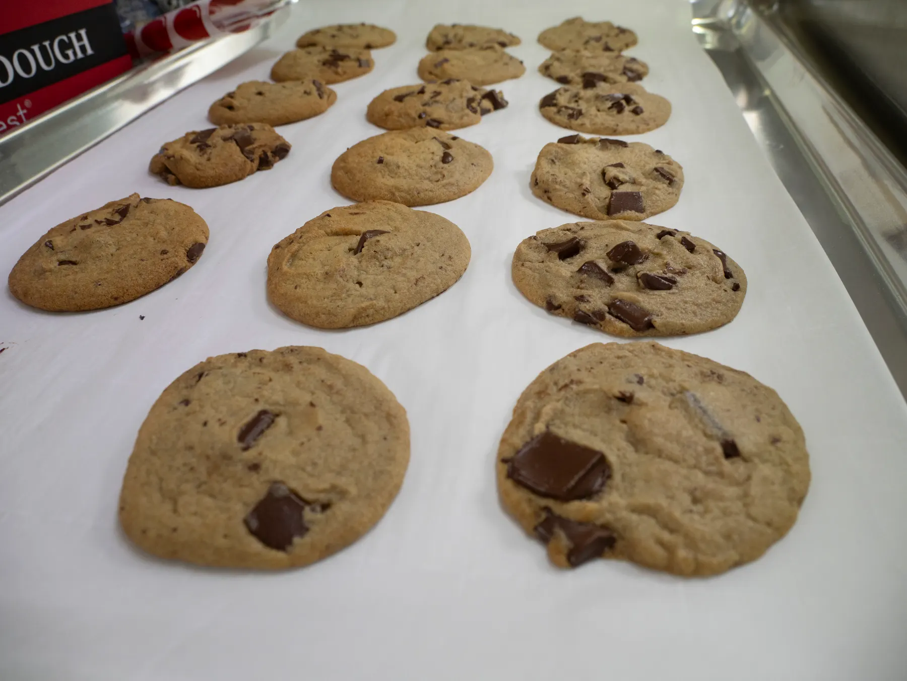 Chocolate chip cookies cooling in rows on a baking sheet.