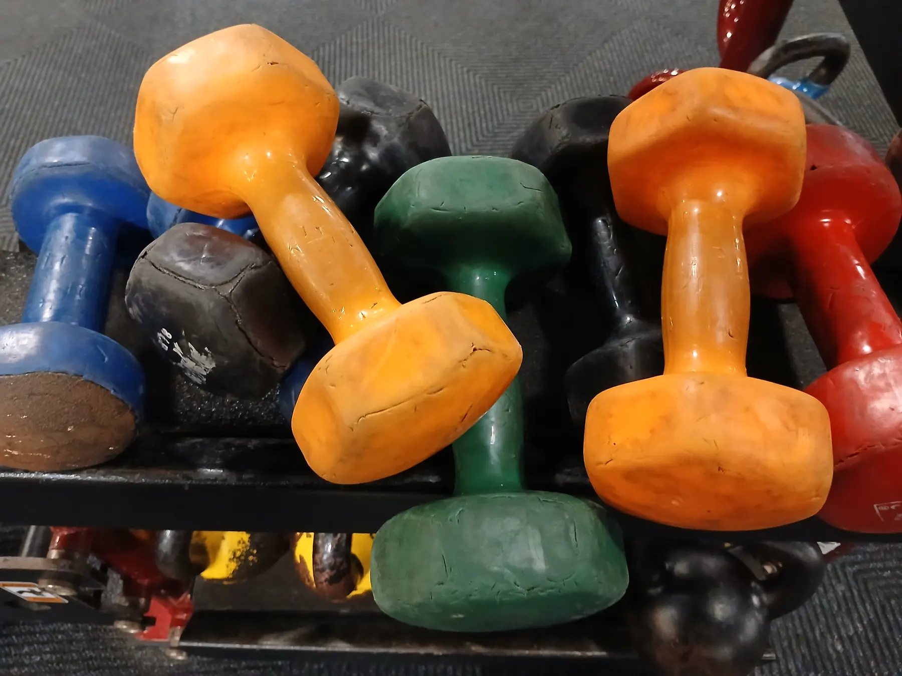 Rows of coloured dumbbells on a rack in a gym.