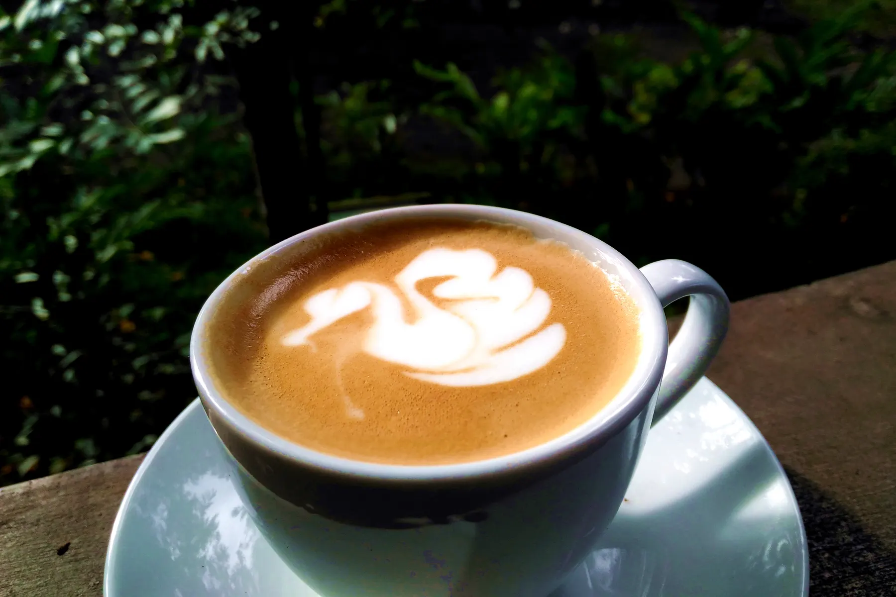 A cup of coffee with a swan drawn in its milk foam