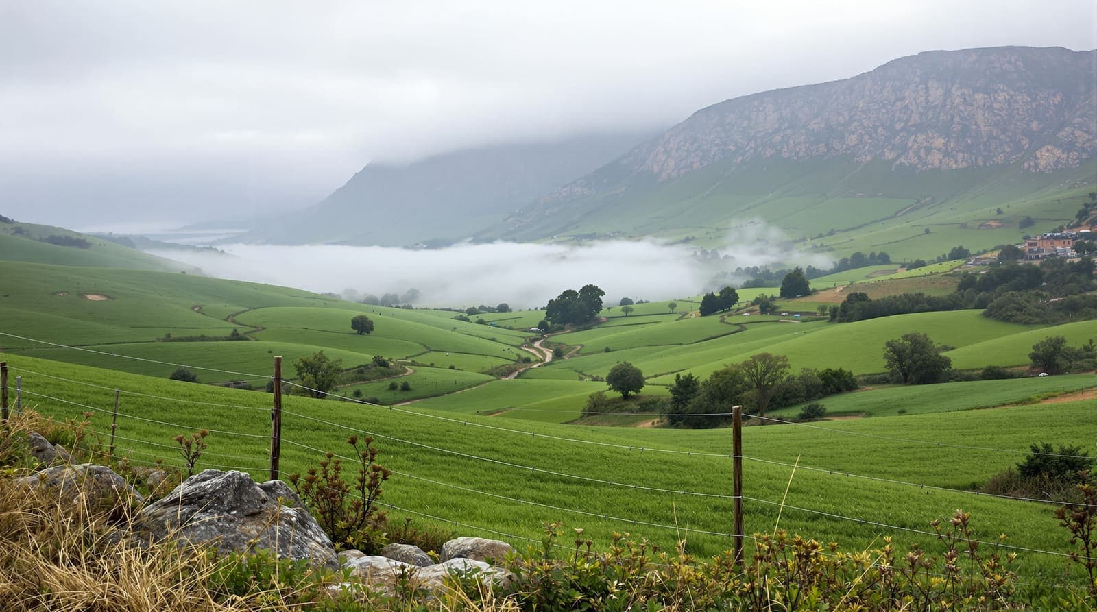 Illustration of Upper Galilee farmland at dawn, a wire fence beside an orchard with mist in the valley and an escarpment beyond.