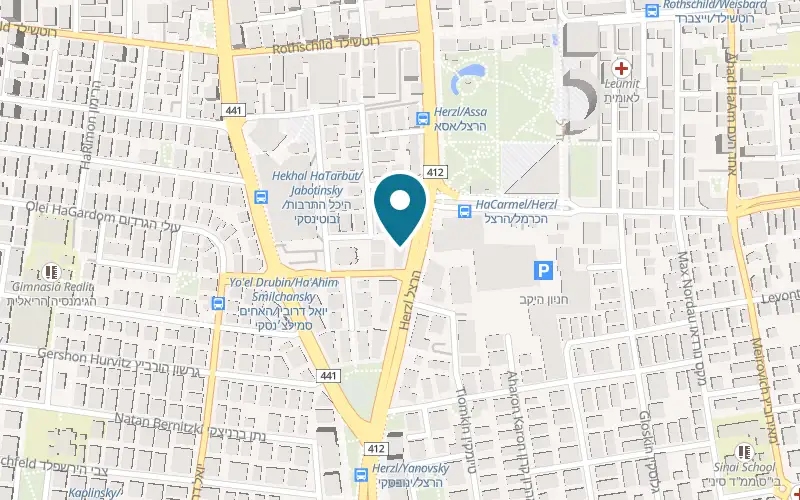 Map showing Aluf Computers at 102 Herzl Street, Rishon LeZion
