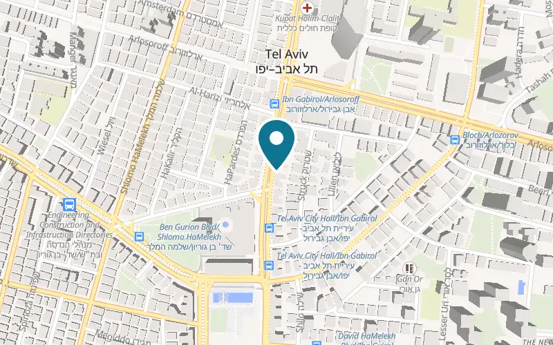 Map showing Amore Mio at 100 Ibn Gabirol Street, Tel Aviv-Yafo