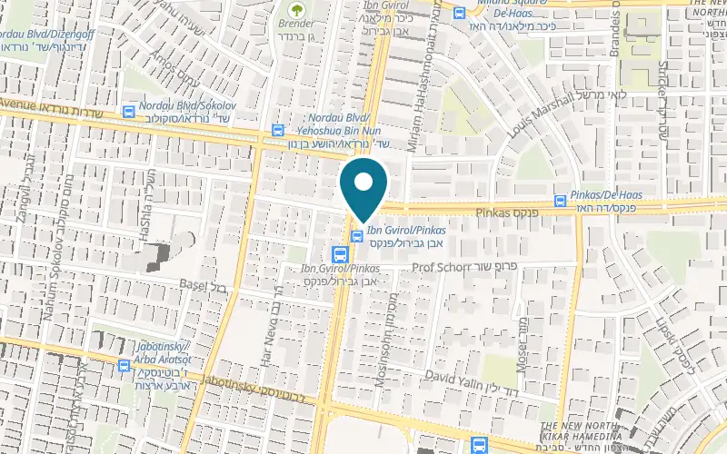 Map showing Andy Beauty Care at 162 Ibn Gabirol Street, Tel Aviv-Yafo