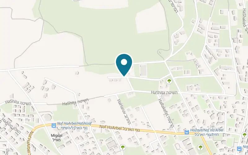 Map showing Arabella at Moshava Migdal, Migdal