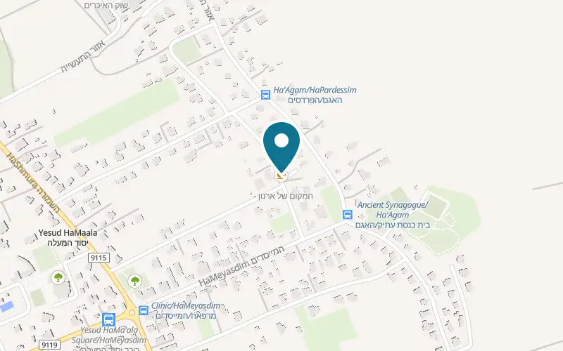 מפה: המקום של ארנון ברחוב השזיף פינת רחוב המגדל, יסוד המעלה