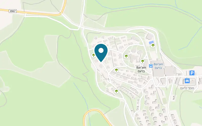 Map showing Bar-David Museum of Art and Judaica at Kibbutz Bar'am, Upper Galilee, Bar'am