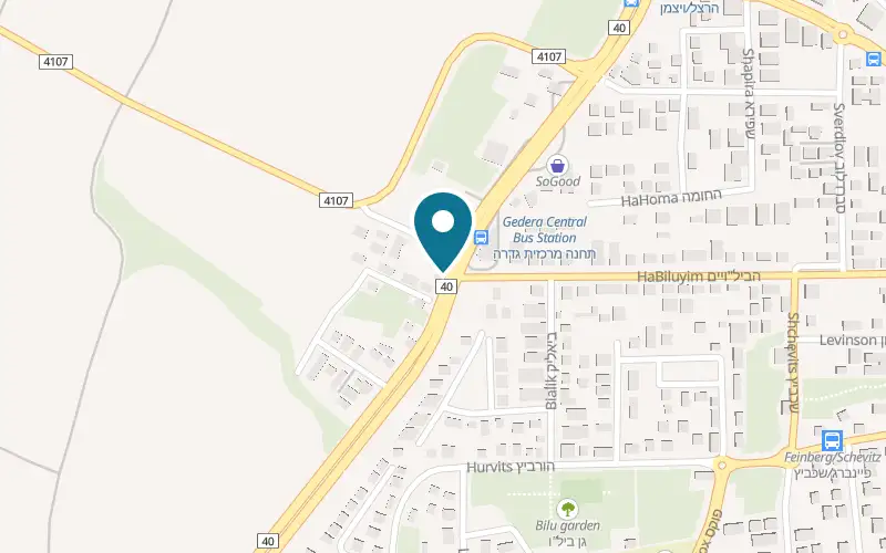 מפה: בארכה ברחוב הרצל 7, גדרה