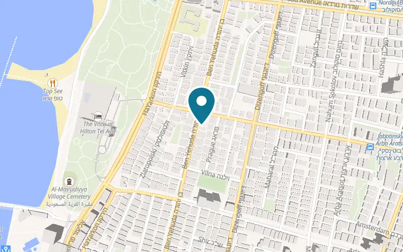 Map showing Barbunia at 192 Ben Yehuda Street, Tel Aviv-Yafo