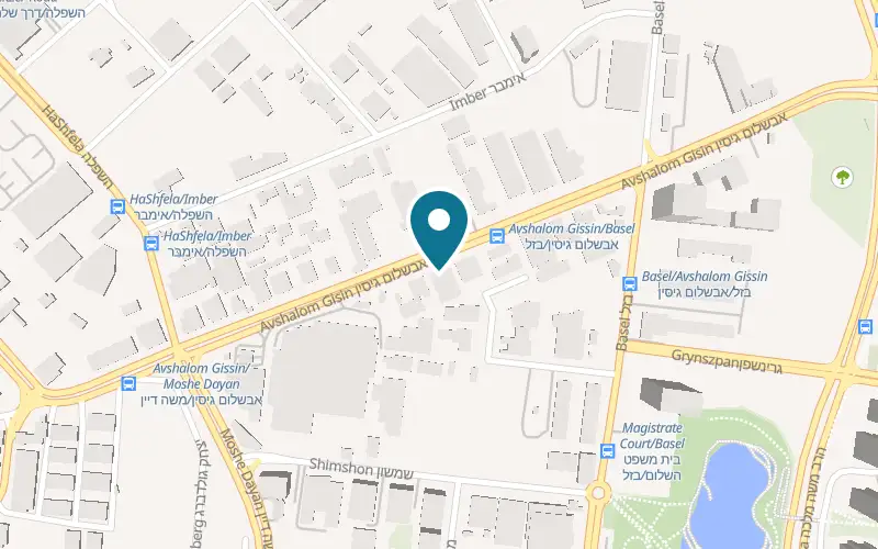 Map showing Baruch and Sons Car Glass at 67 Avshalom Gisin Street, Petah Tikva