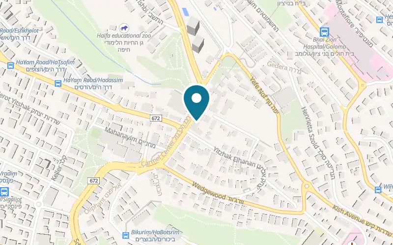 Map showing Cafein at 125 HaNassi Avenue, Carmel Center, Haifa