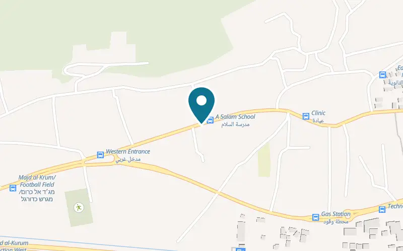 Map showing Chicken Baguette Abo Jawad at 22 Ibn Sina Street, Majd al-Krum