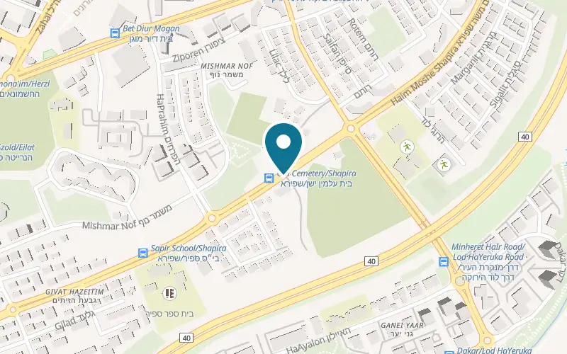 Map showing Crispy Pizza at 35 Haim Shapira Street, Lod