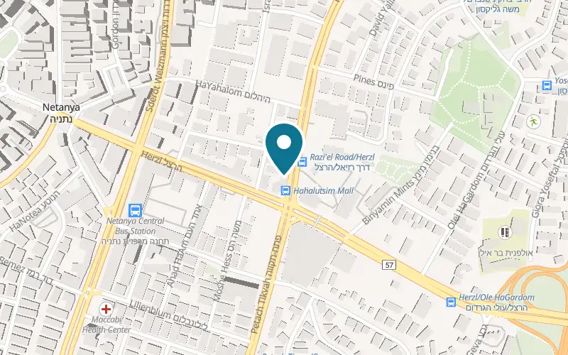 Map showing Crispy Pizza at 3 Raziel Street, Netanya