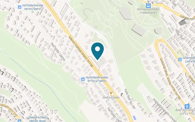 Map showing Dan Carmel Haifa at 85-87 HaNassi Avenue, Carmel Center, Haifa