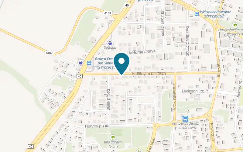 Map showing Deli Cream Gedera at 9 HaBiluyim Street, Gedera