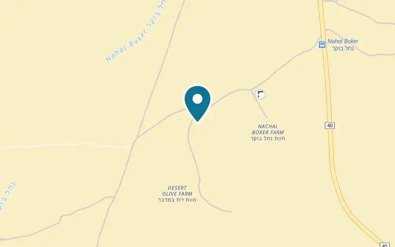 Map showing Desert Olive Farm at Near the Nahal Boker bus stop on Road 40, Sde Boker