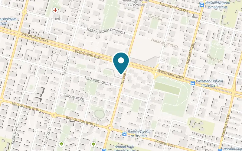 Map showing Doolittle Pet Clinic at 31 Tel Hai Street, Kfar Saba