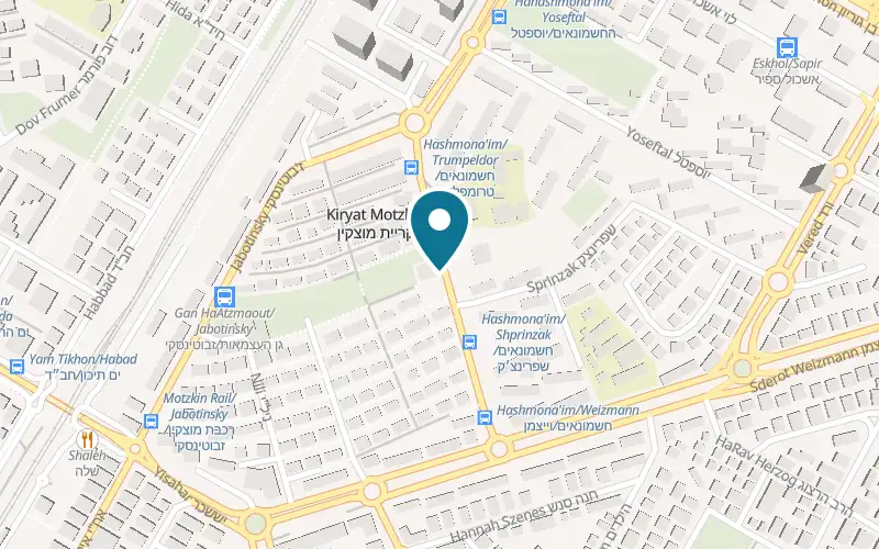 Map showing Dudu Outmezgine at 15 HaHashmonaim Street, Kiryat Motzkin