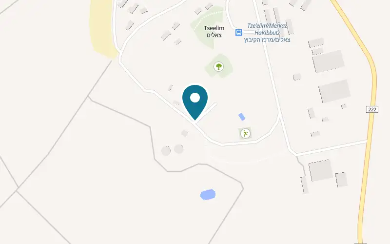 Map showing Erettz Ze'elim at Kibbutz Tze'elim, Tze'elim