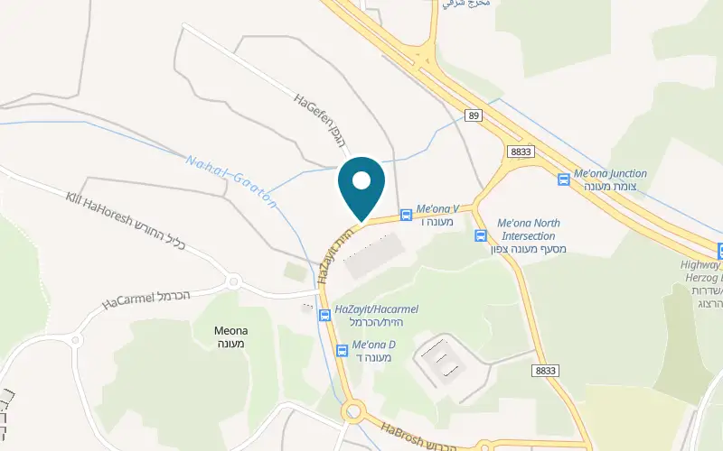 מפה: פורסט ברחוב הזית 168, מעונה, מעונה