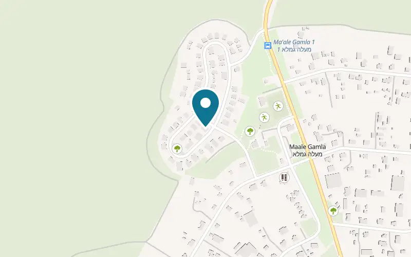 Map showing Gamla Silent at 21 HaRimon Street, Ma'ale Gamla