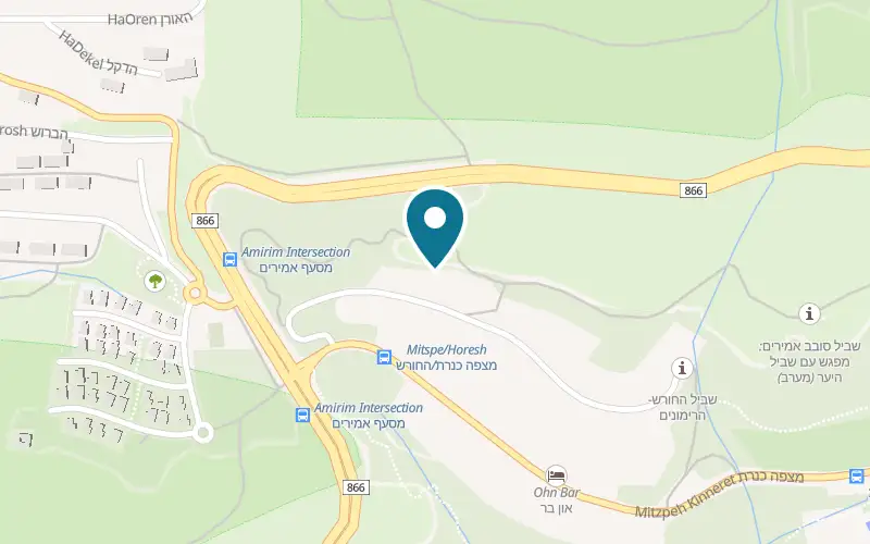 Map showing Gan HaMelachim at 106 HaHoresh Street, Amirim