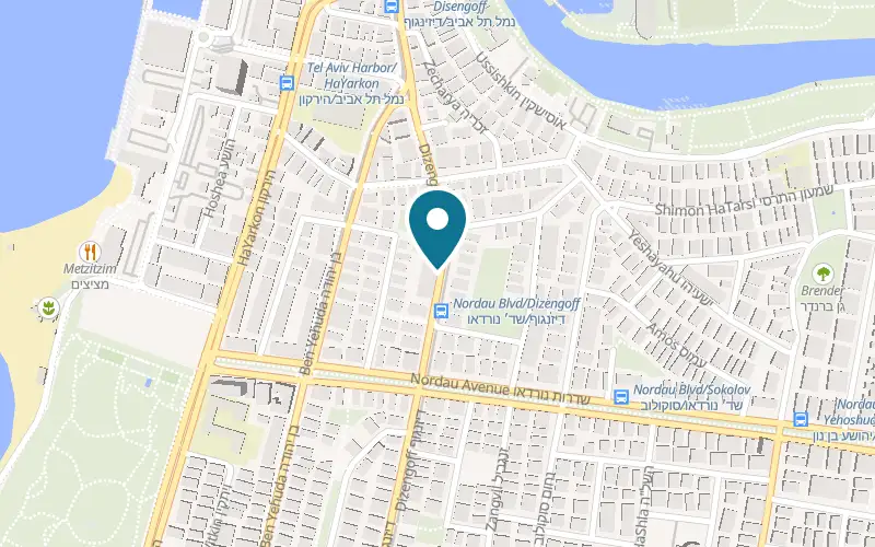 Map showing GINA Gallery at 255 Dizengoff Street, Tel Aviv-Yafo