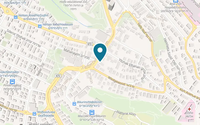 Map showing Giraffe Haifa at 131 HaNasi Avenue, Carmel Centre, Haifa