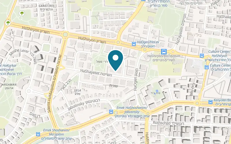 Map showing Go Active Ness Ziona at 4 HaShayetet Street, Ness Ziona