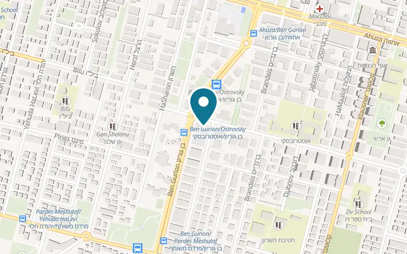 Map showing Home Queen at 41 Ostrovski Street, Ra'anana