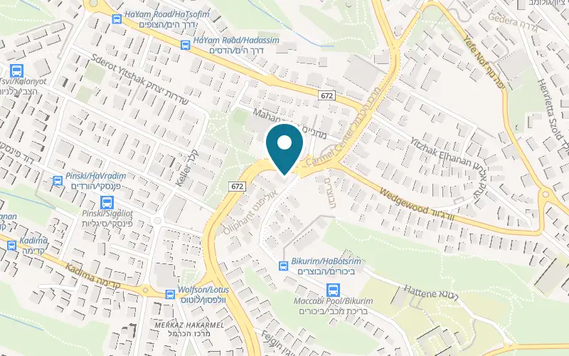 Map showing Hummus Bardichev Carmel Center at 139 HaNassi Avenue, Carmel Center, Haifa