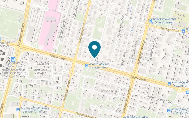 Map showing Ilan Veterinary Medical Center at 1 Etzion Street, corner of 254 Ahuza Street, Ra'anana