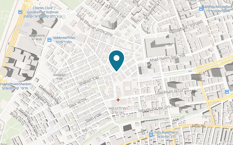 Map showing Ivshin Jewellery Design at 54 Shabazi Street, Tel Aviv-Yafo