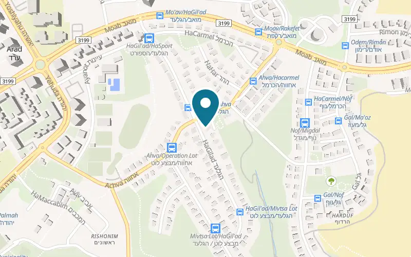 Map showing Kaparuchka at 19 Akhva Street, Arad