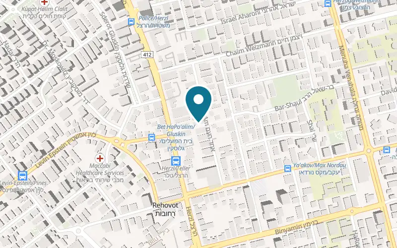 Map showing LabTop at 15 Ahad HaAm Street, Rehovot