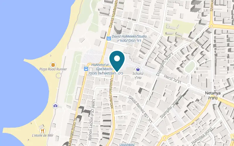 Map showing Leonardo Plaza Netanya at 1 Ussishkin Street, Netanya