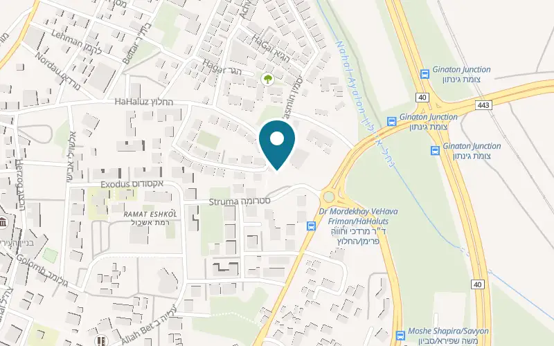 Map showing Lod Mosaic Center at 9 Struma Street, Lod