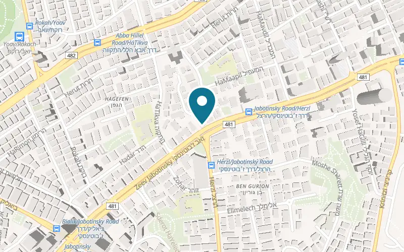 Map showing Lucky Dog Veterinary Clinic at 95 Jabotinsky Street, Ramat Gan