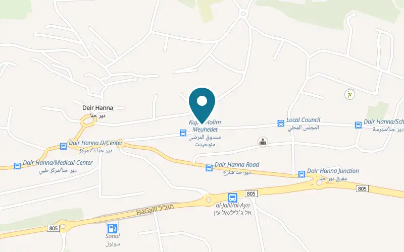 Map showing Mexicano Crispy Roll at Plus code V969+WWF, Deir Hanna, Deir Hanna