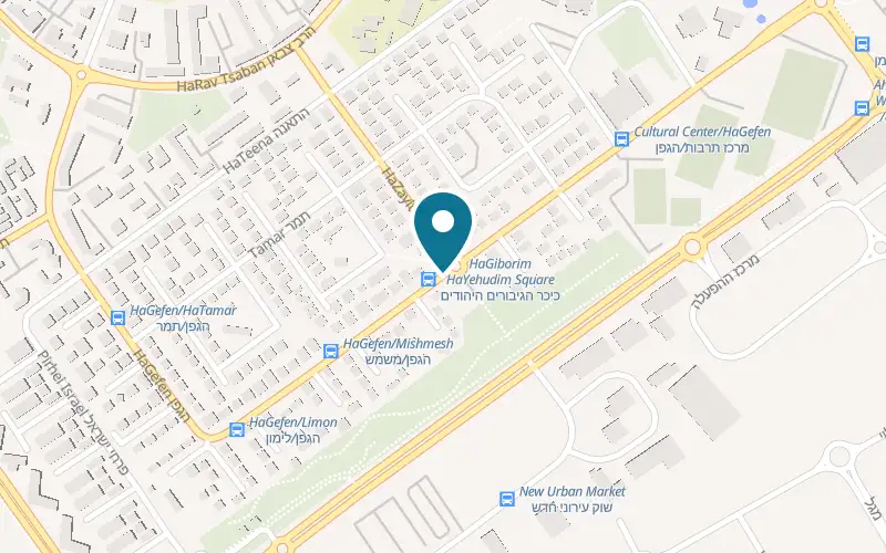 Map showing Nichochot Haim at 23 HaGefen Street, Netivot
