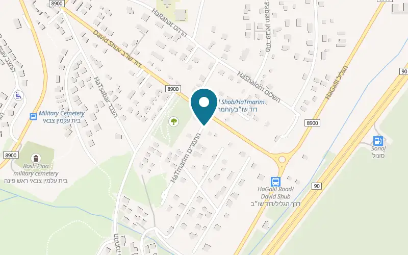 Map showing Olea at 18 HaTmarim Street, Rosh Pinna