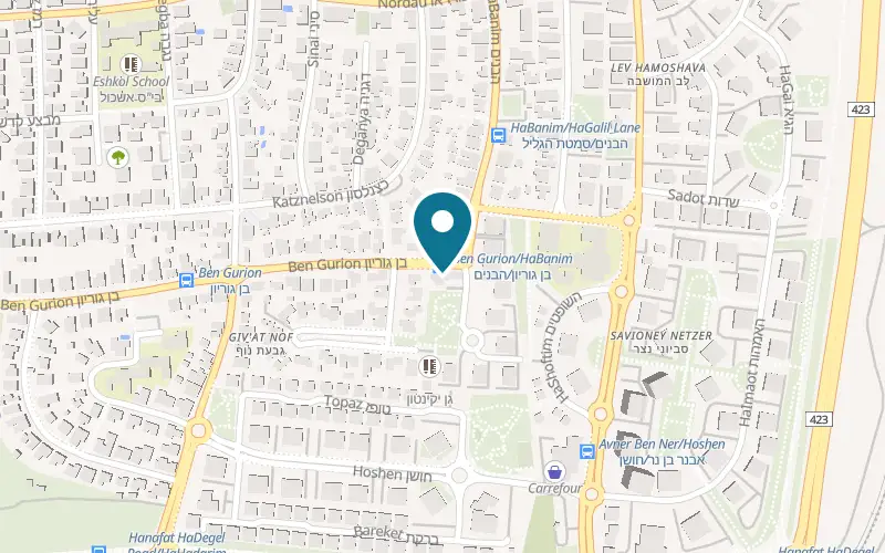 Map showing The Orange House Veterinary Clinic, Dr Eran Ziv at 48 Ben Gurion Street, Ness Ziona