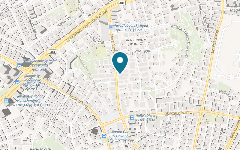 מפה: פנדה בהרצל 66, רמת גן