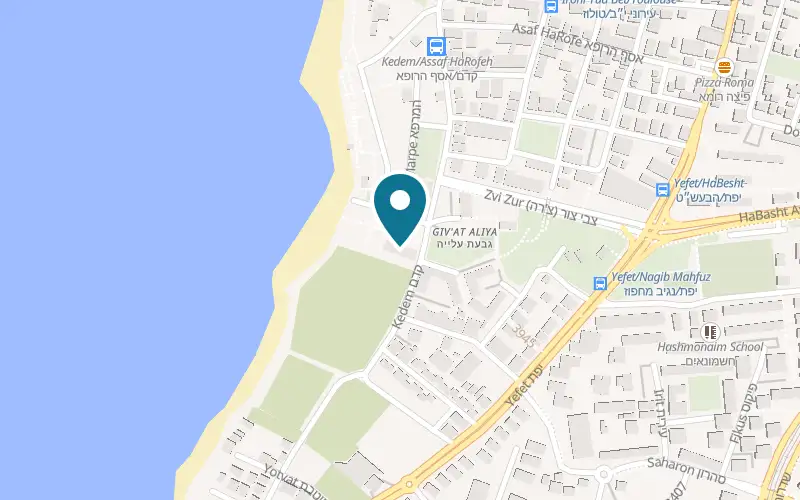 Map showing Peres Center for Peace and Innovation at 132 Kedem Street, Tel Aviv-Yafo