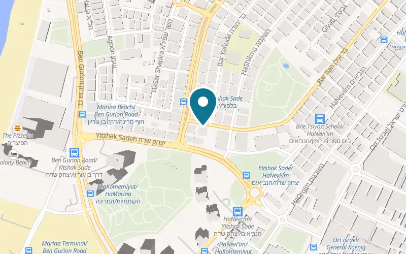 Map showing Pet Care at 85 Bar Ilan Street (corner of 163 Balfour), Bat Yam