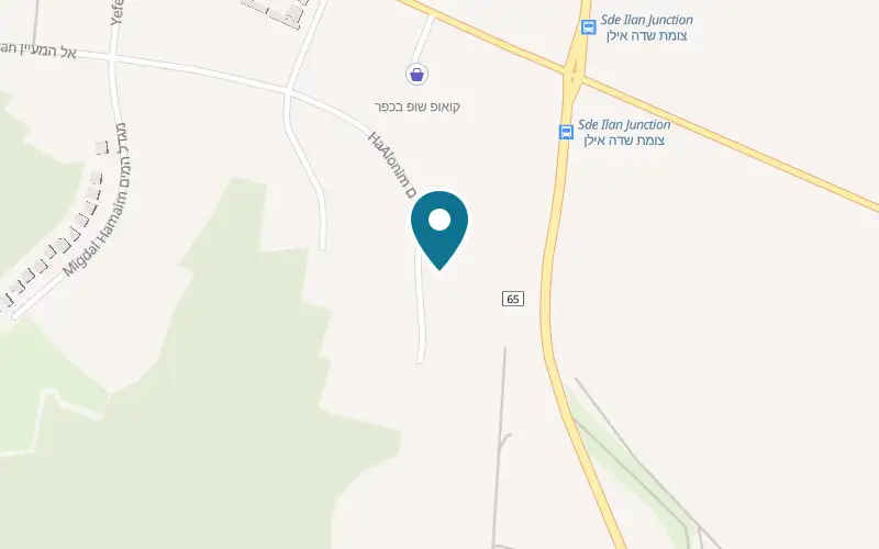 Map showing Pina BeSejera at HaAlonim Street, Ilaniya, Ilaniya